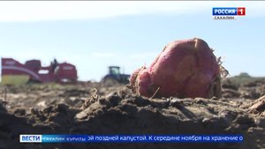 "Вести. Сахалин. Курилы". 23 сентября 2025 года