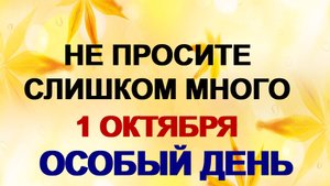 1 октября. Арина Шиповница: как не потерять все, что имеешь.