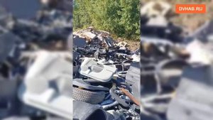 Автосервис устроил свалку на кладбище в Гаровке-2