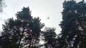 1000005527.mp4 Самолёт над зоопарком