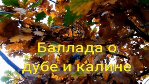 Баллада о дубе и калине. Стихи и генерация звука в ИИ - Е.Васюнина, монтаж - Е.Доставалов
