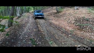 Поездка в лес