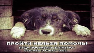 Гуляй поле - Ни кола ни двора (cover Савелий Долгобродский )