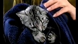 Новогодняя реклама Whiskas 2003-2004