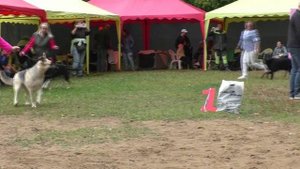 Класс юниоров