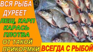 ВСЯ РЫБА ДУРЕЕТ ОТ ТАКОЙ ПРИКОРМКИ ЛЕЩ, КАРП, КАРАСЬ!! #Рецепт_прикормки_для_фидер #рыбалка