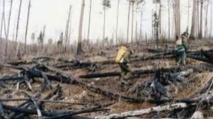 23 года назад - В Иркутской области упал метеорит