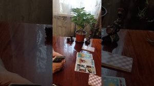 Таро.Загнали в угол.