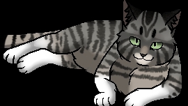 старейшины кв