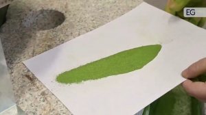 Жерновая мельница DL 6CYM-70