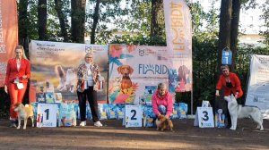 21.09.2025, СПб. Клуб "СПбЦВЕО" (РКФ, РФСС). Выставка собак САС 5 группы FCI