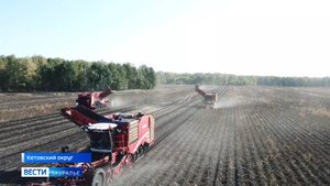 Пик уборочной кампании в эти дни на предприятиях группы компаний «Немиров»