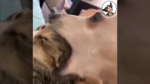 Вам мозги прокомпостировать 😆?))