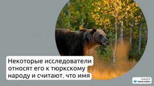 Фамилия Алескер: история происхождения, значение и правила склонения – все, что нужно знать
