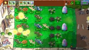 пвз подсолнуха