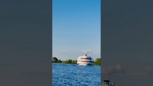 Светлана Скрыпник | ТОЧКА.РФ – МЕСТО | г. Раменское