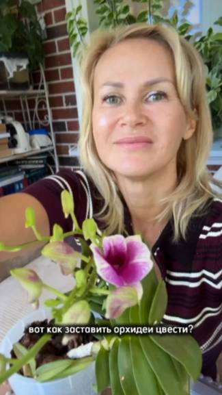 Самое время запустить цветение орхидей! Как это сделать?
