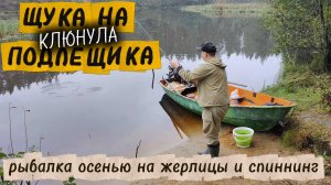 Щука клюнула на подлещика. Рыбалка осенью на жерлицы и спиннинг.