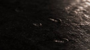 Новая осенняя коллекция:cтаньте на шаг ближе к главному событию этой осени