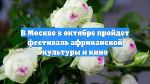 В Москве в октябре пройдет фестиваль африканской культуры и кино