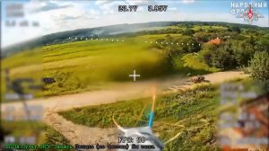 🎮 Точные удары наших «птичек»