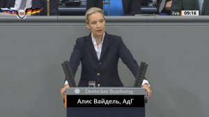 Алис Вайдель: Мерц! Наши парни не будут умирать на развязной вами войне в Украине - этого не будет!