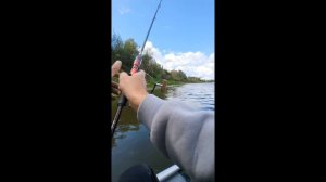 Рыбалка ,щука
