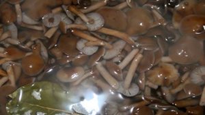 Маринованные опята с корицей