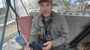 ОТДОХНУЛИ,ЕДЕМ ДОМОЙ