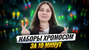 Наборы хромосом за 10 минут | Биология ЕГЭ | Умскул