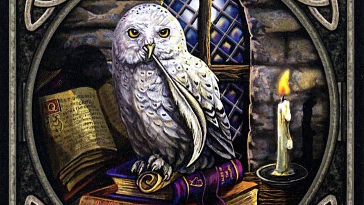 Правда про ЭТИ отношения