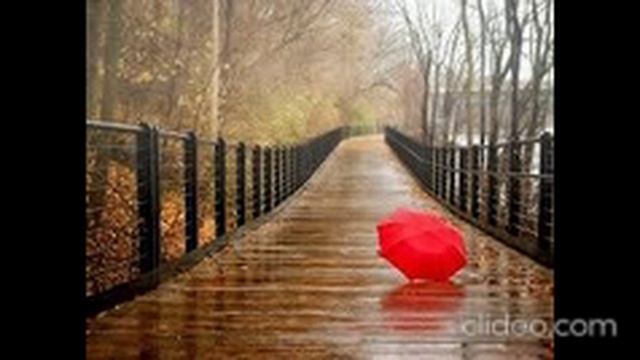 images-3_KzbW8jeL смотреть онлайн