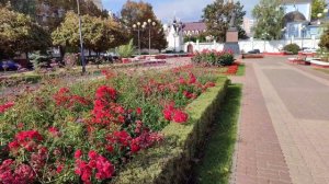 Утро в Белгороде 24.09.25.