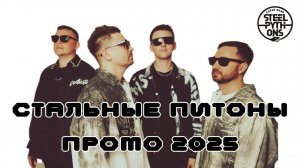 Кавер-группа Стальные Питоны. Промо 2025.