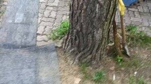 пора сходить погреться