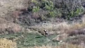 Чтобы спасти жизнь своего раненого сослуживца, боец протащил его на плечах 2,5 километра.