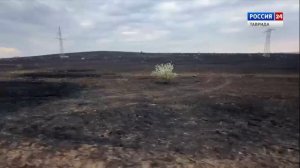 Дежурная часть Вести Крым: выпуск 24.09.2025