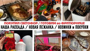 ПОКУПКИ СВЕТОФОР 🚦 ГОТОВИМ во ФРИТЮРНИЦЕ 😍 НАША РАССАДА 🌱 НОВАЯ ЛЕЖАНКА 🔥 НОВИНКИ и ПОКУПКИ
