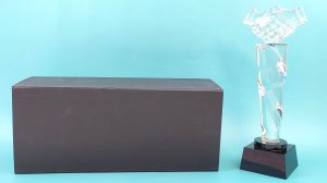 Награда Рукопожатие