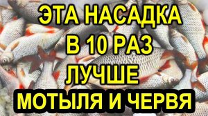 НЕ ПОКУПАЙТЕ ЧЕРВЯ И МОТЫЛЯ в рыболовном магазине ЛОВИТЕ РЫБУ ЗИМОЙ на ЭТУ НАСАДКУ