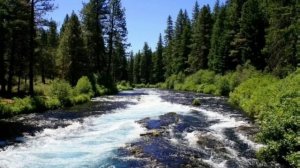 Сложная природная система