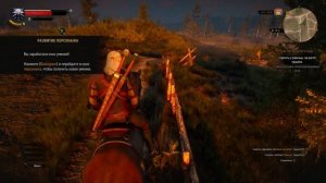 Ведьмак 3. Дикая охота #6