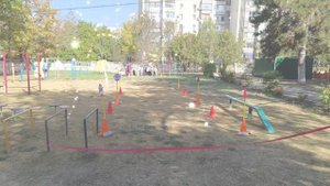 Кросс нации - 2025