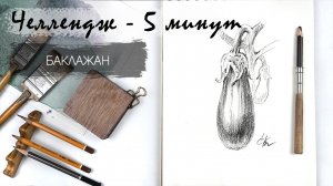 Баклажан за 9 минут простым карандашом. Рисуем регулярно. Быстрые наброски