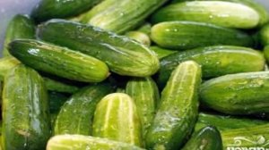 Маринованные огурцы без стерилизации