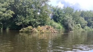 вниз по реке