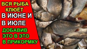 ВСЯ РЫБА КЛЮЁТ В ИЮНЕ И ИЮЛЕ НА РЕКЕ И ОЗЕРЕ! ДОБАВИВ ЭТО В ПРИКОРМКУ! Аттрактант для рыбалки
