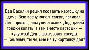 Такого ДЕД точно не ожидал! Сборник свежих анекдотов! Юмор