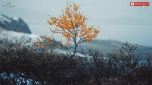 ☦️❤Я ОСОЗНАЛ ПОТРЕБНОСТЬ В БОГЕ!!!❤🕊️