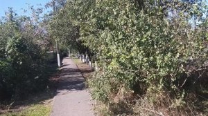 Какой прекрасный день! Юг России 🏝️.